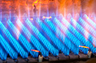 Ffaldybrenin gas fired boilers